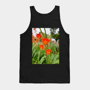 Gladiolus Delenii or African Parrot Gladiolus Tank Top